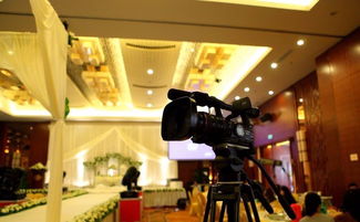 專業(yè)活動策劃與承辦 一站式服務打造精彩瞬間